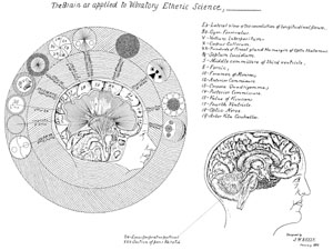 Brain as Applied