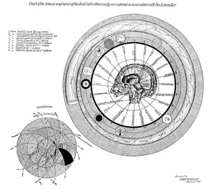 Chart of Sinuses