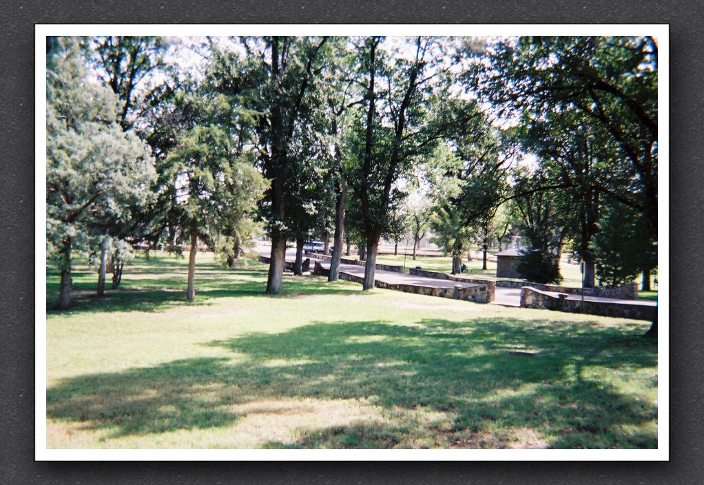 Park trees
