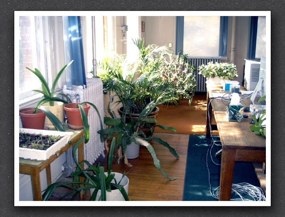 SVP Center 11.7.06 - 5