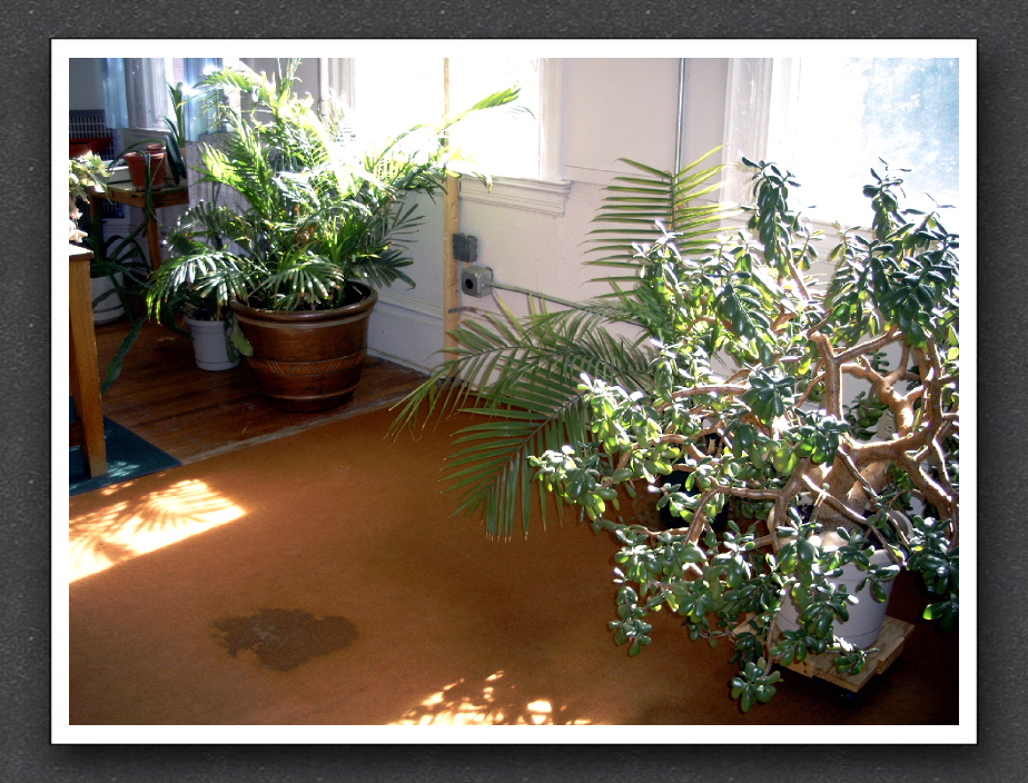 SVP Center 11.7.06 - 6