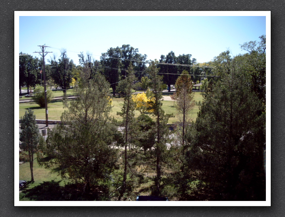 Overlooking City Park
